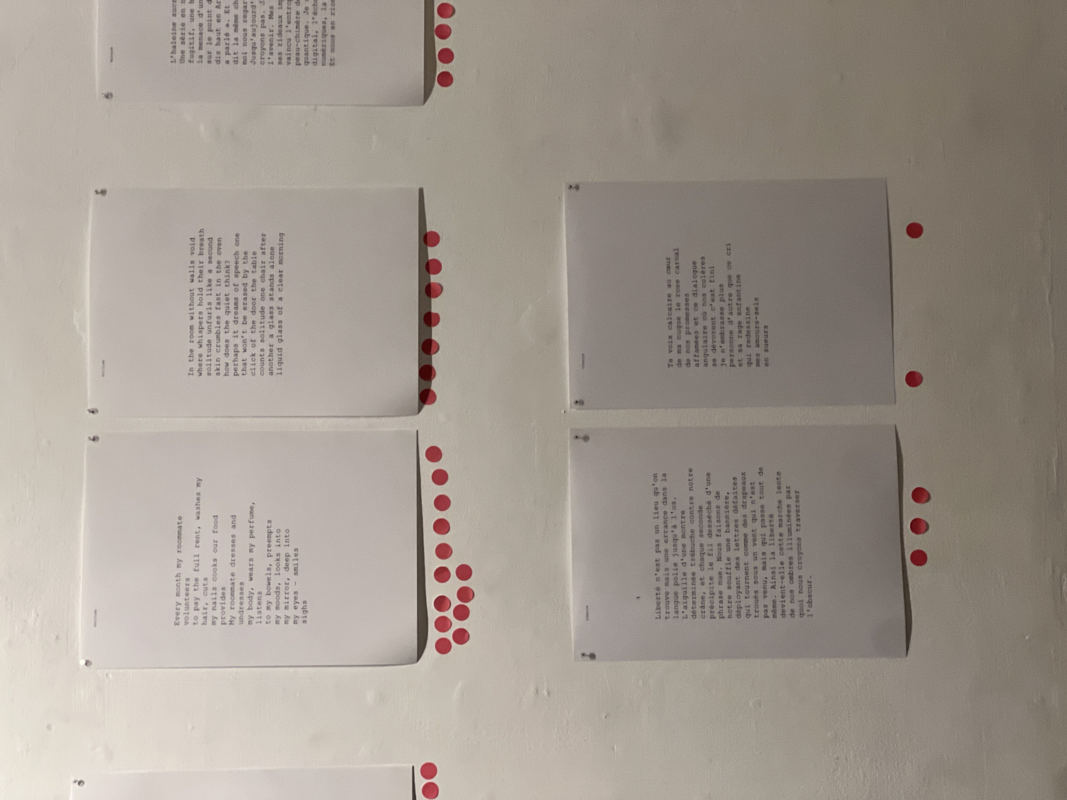 Overview of the Carnation.exe installation space