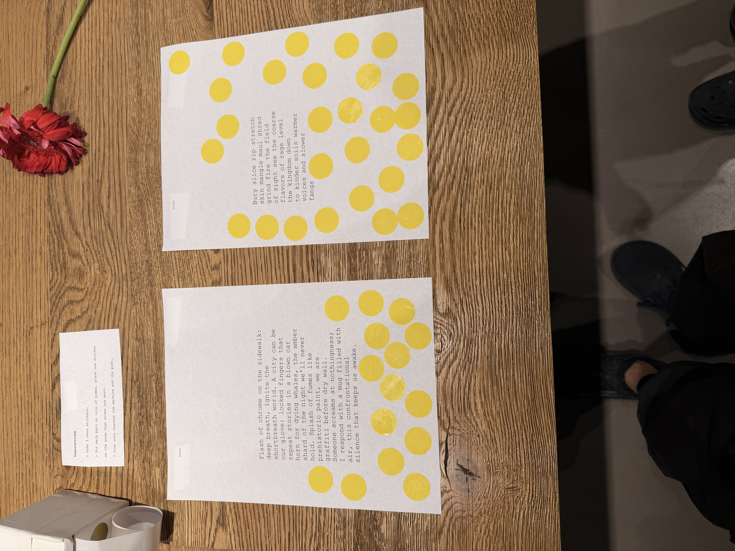 Poem pairs with a red carnation flower between them on the table